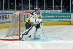 ice hockey, players, team, hockey, stadium, ice sports, goalkeeper, defense, ice hockey, ice hockey, ice hockey, ice hockey, ice hockey, hockey, hockey, hockey