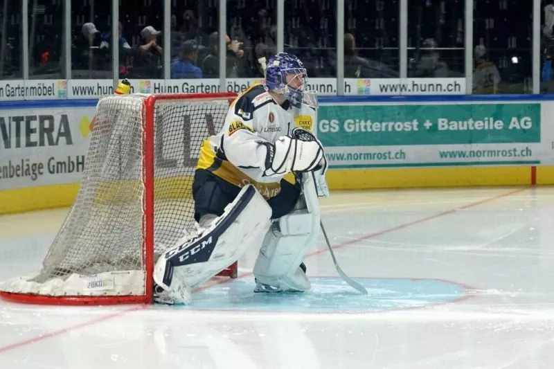 ice hockey, players, team, hockey, stadium, ice sports, goalkeeper, defense, ice hockey, ice hockey, ice hockey, ice hockey, ice hockey, hockey, hockey, hockey